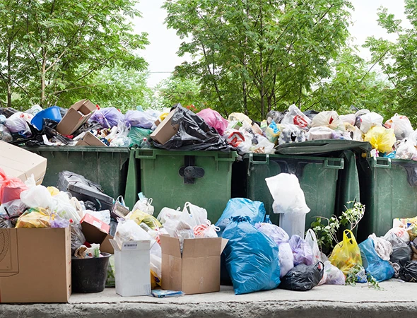 Junk Removal Services in Chapel Hill, NC
